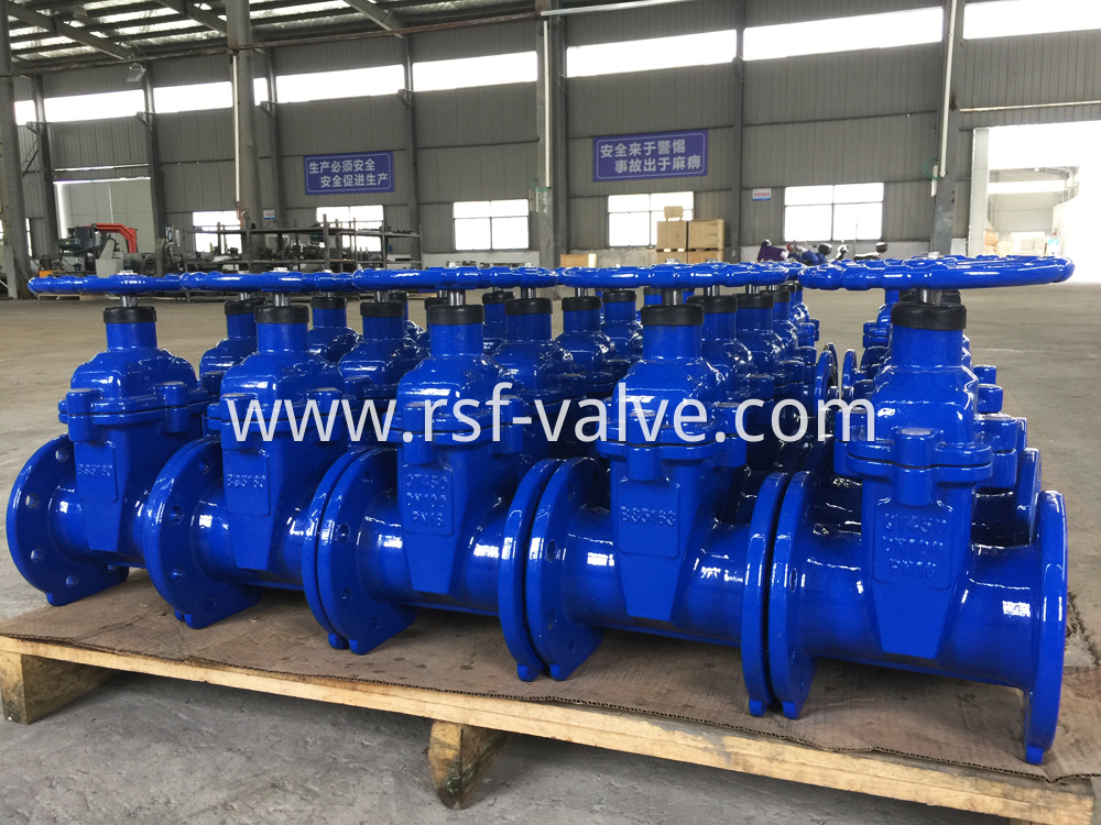 Bs5163 Resilient Seat Gate Valve 1